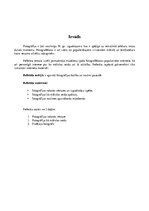 Referāts 'Fotogrāfēšana', 3.