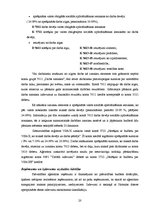 Diplomdarbs 'PA "Jūrmalas Sociālās aprūpes centrs" un SIA "X" gada pārskata analīze un novērt', 20.