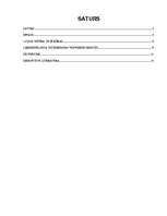 Referāts 'Kriminālsoda noteikšanas vispārējie principi', 1.