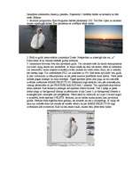 Referāts 'Abobe photoshop instrukcija', 5.