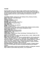 Konspekts 'Gvatemala', 1.