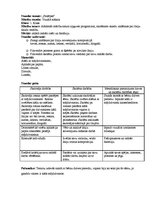 Konspekts 'Vizuālās mākslas stundas konspekts. Temats "Paslēpes"', 1.