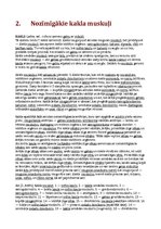 Referāts 'Svarīgākie muguras, kakla, vēdera un krūšu muskuļi', 3.