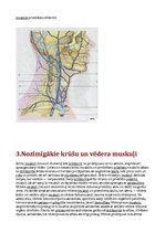 Referāts 'Svarīgākie muguras, kakla, vēdera un krūšu muskuļi', 4.