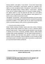 Eseja 'Ārlietu ministrija', 7.