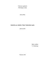 Referāts 'Sabiedrība par atklātību "Delna" efektivitātes izpēte', 1.