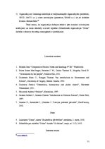 Referāts 'Sabiedrība par atklātību "Delna" efektivitātes izpēte', 31.