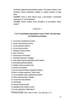 Referāts 'Sabiedrība par atklātību "Delna" efektivitātes izpēte', 35.