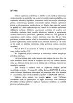 Referāts 'Trīslīmeņu klientservera tehnoloģija un tās pielietošana uzņēmuma informāciju si', 7.