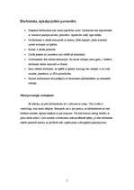 Konspekts 'Etiķete veiksmei un karjerai. Islande Hotel', 5.