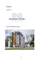 Konspekts 'Etiķete veiksmei un karjerai. Islande Hotel', 7.