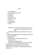 Referāts 'Etnopsiholoģija', 1.