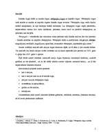 Referāts 'Akciju tirgus dinamika Latvijā laika posmā no 2002.gada 4.aprīļa līdz 2007.gada ', 2.