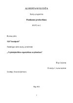 Biznesa plāns 'SIA ''Soundpath''', 1.