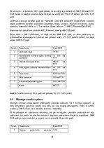 Biznesa plāns 'SIA ''Soundpath''', 10.