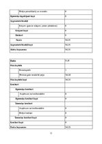 Biznesa plāns 'SIA ''Soundpath''', 12.