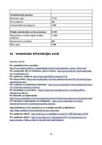 Biznesa plāns 'SIA ''Soundpath''', 20.