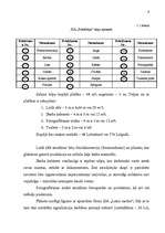 Biznesa plāns 'Ražošanas organizēšanas plāns', 9.