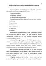 Biznesa plāns 'Ražošanas organizēšanas plāns', 21.