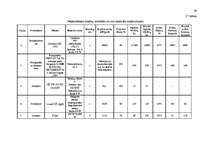 Biznesa plāns 'Ražošanas organizēšanas plāns', 29.