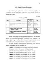 Biznesa plāns 'Ražošanas organizēšanas plāns', 32.