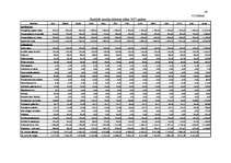 Biznesa plāns 'Ražošanas organizēšanas plāns', 42.