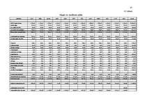 Biznesa plāns 'Ražošanas organizēšanas plāns', 45.