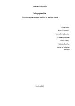 Referāts 'Miega paralīze', 1.