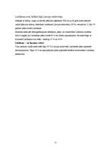 Prakses atskaite 'Nozares prakse uzņēmumā "TNS Latvia"', 31.