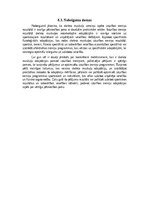 Referāts 'Izmaiņas skeleta muskulatūrā izturības treniņu ietekmē', 22.