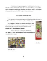 Prakses atskaite 'Prakses atskaite uzņēmumā', 94.