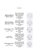 Konspekts 'Artikulācijas vingrinājumi bērniem un pieaugušajiem', 4.