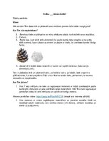 Konspekts 'Sporta stunda svaigā gaisā', 1.