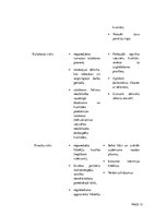 Konspekts 'Biznesa plāns', 12.