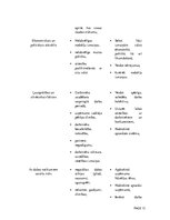 Konspekts 'Biznesa plāns', 13.