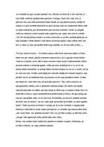 Eseja 'Albēra Kamī romāna “Svešinieks” analīze', 2.