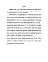 Referāts 'Mūzikas industrijas nākotne Platforma.lv vietnē', 3.