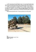 Referāts 'Ekskursiju maršruts Jelgavā', 14.