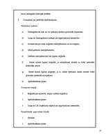 Referāts 'Biznesa plāna sastāvdaļas', 19.