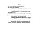 Referāts 'Intelektuālais īpašums un tā aizsardzība', 3.