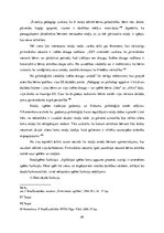 Referāts 'Latviešu valodas attīstības prasmes 3-4 gadus veciem bērniem ', 49.