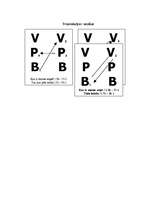 Eseja 'Manas sociālās lomas', 2.