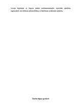 Prakses atskaite 'Lietvedības prakses pārskats', 4.