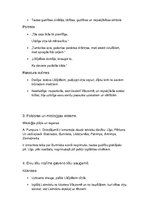 Konspekts 'Eposa "Lāčplēsis" notikumu un tēlu analīze', 3.