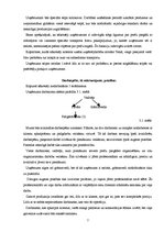 Biznesa plāns 'Kafejnīca SIA "Pie omītes"', 7.