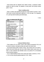 Biznesa plāns 'Kafejnīca SIA "Pie omītes"', 19.