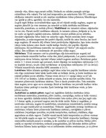 Referāts 'Zemenes', 5.