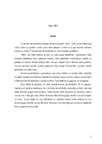 Referāts 'Etniskā nevienlīdzība', 2.