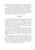 Referāts 'Etniskā nevienlīdzība', 8.