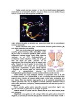 Konspekts 'Garšas sajūta', 2.